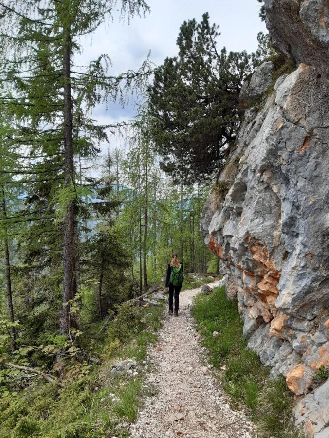 Vintage Kammerl Appartamento Schönau am Königssee